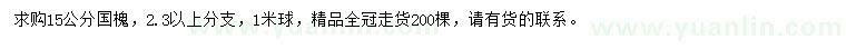 求購15公分國槐