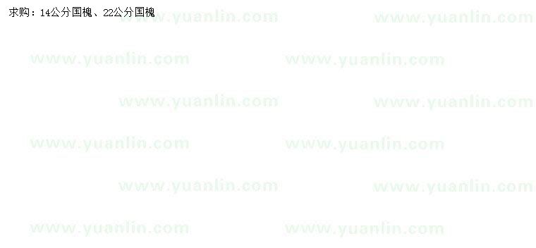求購14、22公分國槐