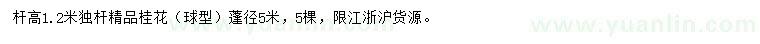 求購(gòu)桿高1.2米精品桂花