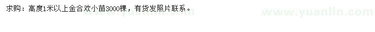 求購高度1米以上金合歡小苗