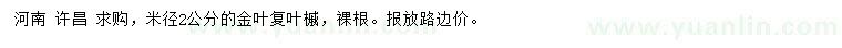 求購(gòu)米徑2公分金葉復(fù)葉槭