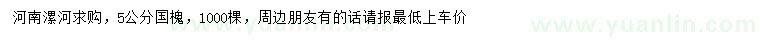 求購5公分國槐
