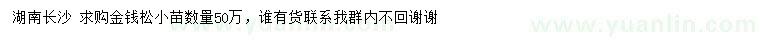 求購金錢松小苗