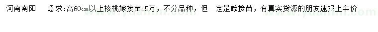 求購高60公分以上核桃嫁接苗