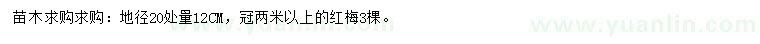 求購(gòu)地徑20處量12公分紅梅