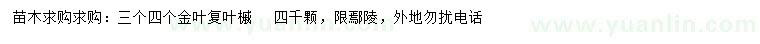 求購3、4公分金葉復(fù)葉槭