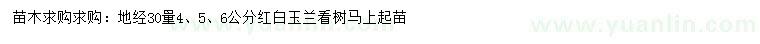 求購地徑30量4、5、6公分紅、白玉蘭