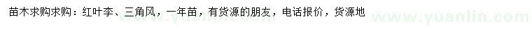 求購紅葉李、三角風(fēng)