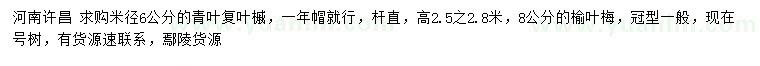 求購(gòu)米徑6公分青葉復(fù)葉槭、8公分榆葉梅