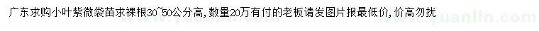 求購高30-50公分小葉紫薇