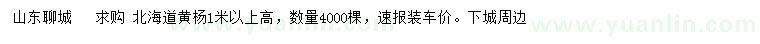 求購(gòu)高1米以上北海道黃楊