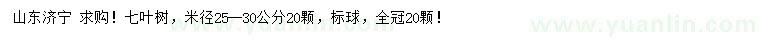 求購米徑25-30公分七葉樹