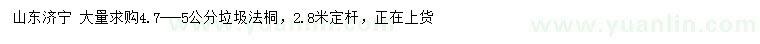 求購4.7-5公分法桐