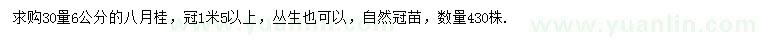 求購30量6公分八月桂