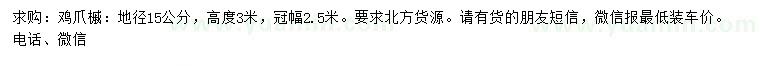 求購15公分雞爪槭