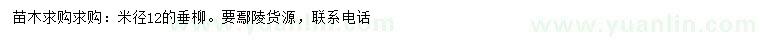 求購米徑12公分垂柳