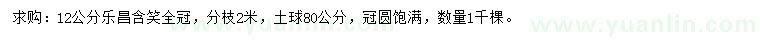 求購12公分樂昌含笑