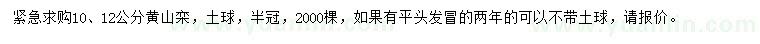 求購10、12公分黃山欒