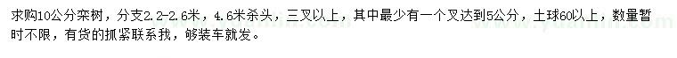 求購(gòu)10公分欒樹(shù)