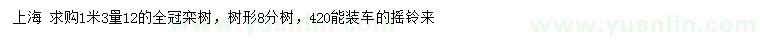 求購1.3米量12公分欒樹