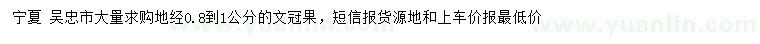 求購地徑0.8-1公分文冠果