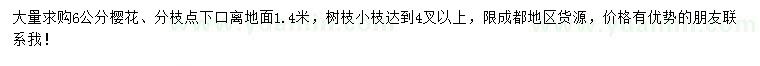 求購(gòu)6公分櫻花