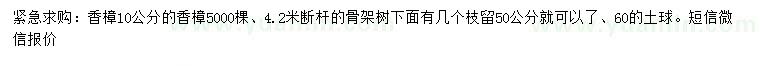 求購(gòu)10公分香樟