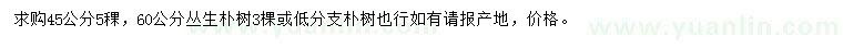 求購45公分、60公分叢生樸樹