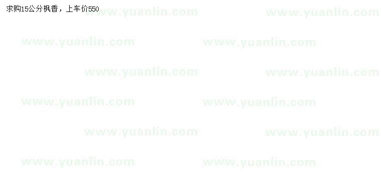 求購(gòu)15公分楓香