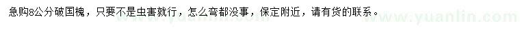 求購8公分破國槐