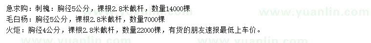 求購刺槐、毛白楊、火炬等
