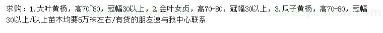 求購大葉黃楊、金葉女貞、瓜子黃楊
