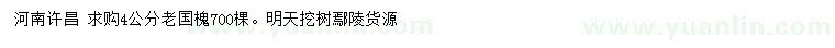 求購4公分老國槐