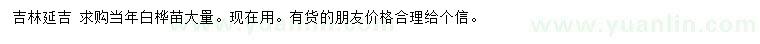 求購當(dāng)年白樺苗