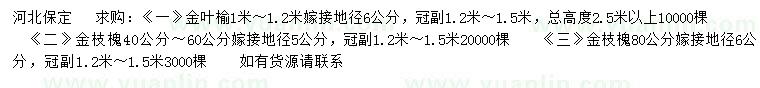 求購地徑6公分金葉榆、5、6公分金枝槐