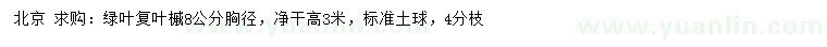 求購胸徑8公分綠葉復(fù)葉槭