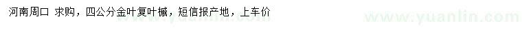 求購4公分金葉復葉槭