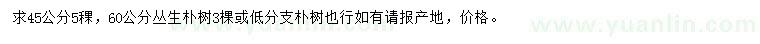 求購45公分叢生樸樹
