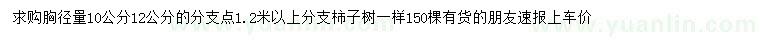 求購胸徑10、12公分柿子樹
