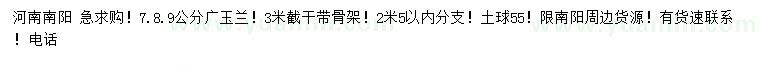 求購7、8、9公分廣玉蘭
