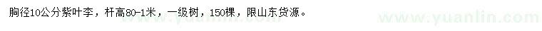 求購胸徑10公分紫葉李