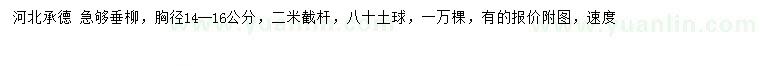 求購胸徑14-16公分垂柳