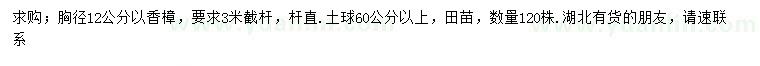 求購胸徑12公分以香樟