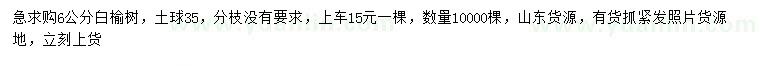 求購(gòu)6公分白榆樹(shù)