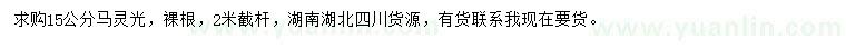 求購(gòu)15公分馬靈光