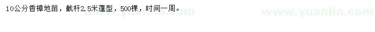 求購(gòu)10公分香樟