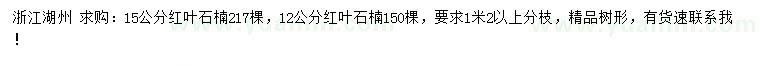 求購(gòu)12、15公分紅葉石楠