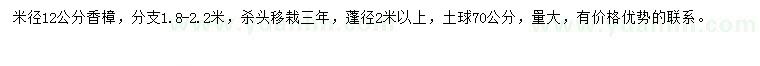 求購米徑12公分香樟