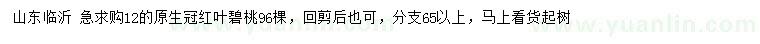 求購(gòu)12公分紅葉碧桃