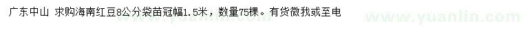 求購(gòu)8公分海南紅豆袋苗